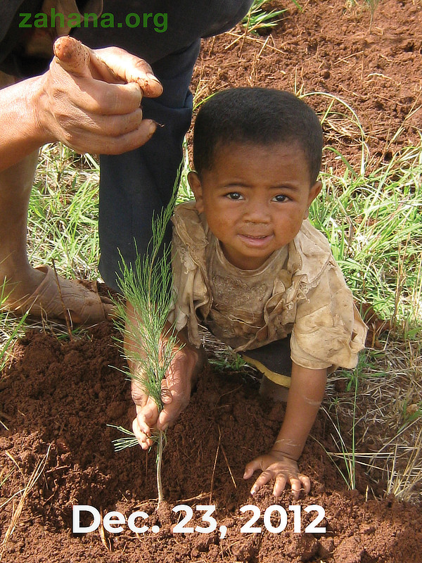 Little boy Planting a tree in Madagascar Reforstation